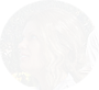 PRE-rangerHat-giveHat+hatGiven.png