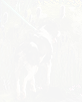 PRE-dogBiscuits-feedDog+dogFed