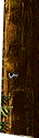 PRE-birdBox-hangBox+boxHung.png