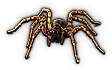 HDN-spider.png