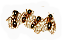 HDN-ants.png