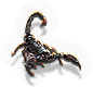-HDN-urn-scorpion.png