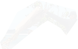 PRE-sack-feedMonkeys+giveSack.png