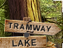 PRE-hammer-tramSignNailed+hammerSign.png