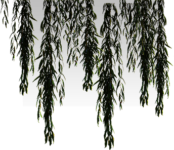 PRE-machete-clearFoliage+cleared