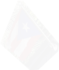 PRE-PRflag-flagToPole+done.png