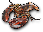 HDN-lobster.png