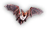 HDN-bat.png
