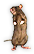 -HDN-blueBox-rat.png