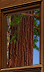 PRE-hook-addHook+added.png