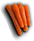 HDN-carrots.png