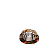 PRE-waterBottle-fillBowl+bowlFilled.png