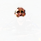 PRE-scubaMask-diver+done.png