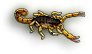 HDN-scorpion.png