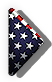 -INS-ranger-flag1.png