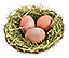 -HDN-spire-birds_nest.png