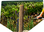 PRE-sign2-repairSign+signFixed.png