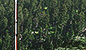 PRE-windsock-fixWindsock+sockFlying.png