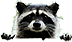 HDN-raccoon.png