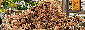 PRE-shovel-clearRoad+roadClear.png