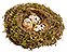 -HDN-birdBox-nest.png
