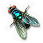 HDN-fly.png