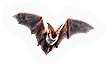 HDN-bat.png