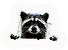 HDN-raccoon.png
