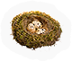-HDN-birdbox-nest.png