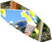 PRE-paintBrush-brushToArtist+brushed.png