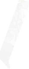 PRE-pole-poleToPunt+punted.png