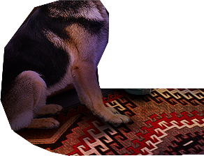 PRE-dogBowlFull-giveMax+bowlGiven.png