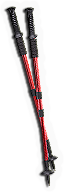 HDN-walking_poles.png