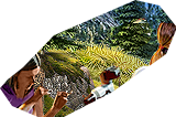 PRE-telescope-mountScope+scopeFixed.png