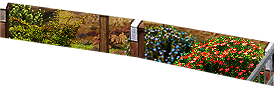 PRE-rope-fixFence+addRope.png