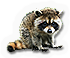 HDN-raccoon.png