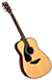 HDN-guitar.png