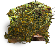 PRE-bigshears-thorns+cleared.png