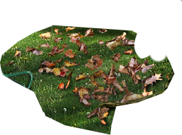 PRE-rake-pile+none.png