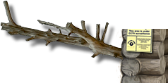 PRE-chainsaw-tree+cut.png