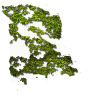 PRE-shears-ivy+clear.png