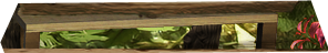 PRE-decking-repaired+fixed.png