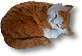 HDN-cat.png