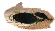PRE-bucket-oil+cover