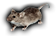HDN-mouse.png