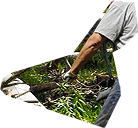 PRE-chainsaw-inHands+inPlace.png