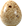 HDN-egg.png