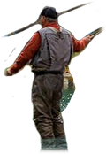 PRE-net-return+complete.png