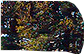 PRE-flag-flagPlaced+complete.png