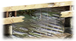 PRE-plank-jettyFixed+complete.png